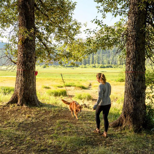 Ruffwear Knot-a-Hitch - Red Clay