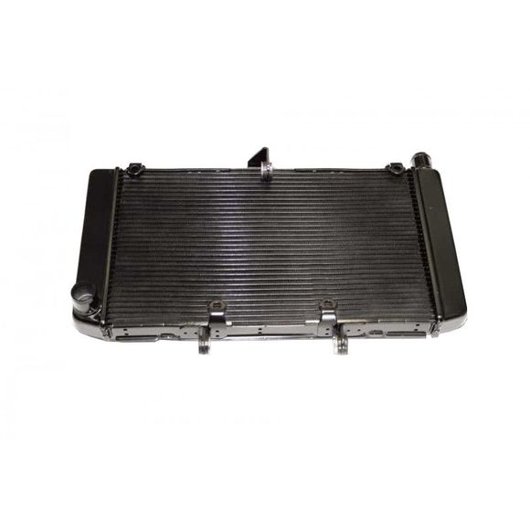 Radiateur Brazoline A EAU ADAPTABLERef : 56000