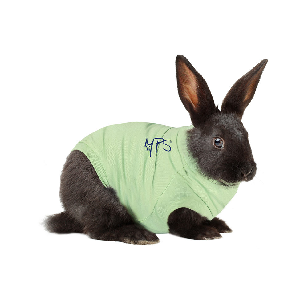 Medical Pet Shirt Rabbit - XXXS