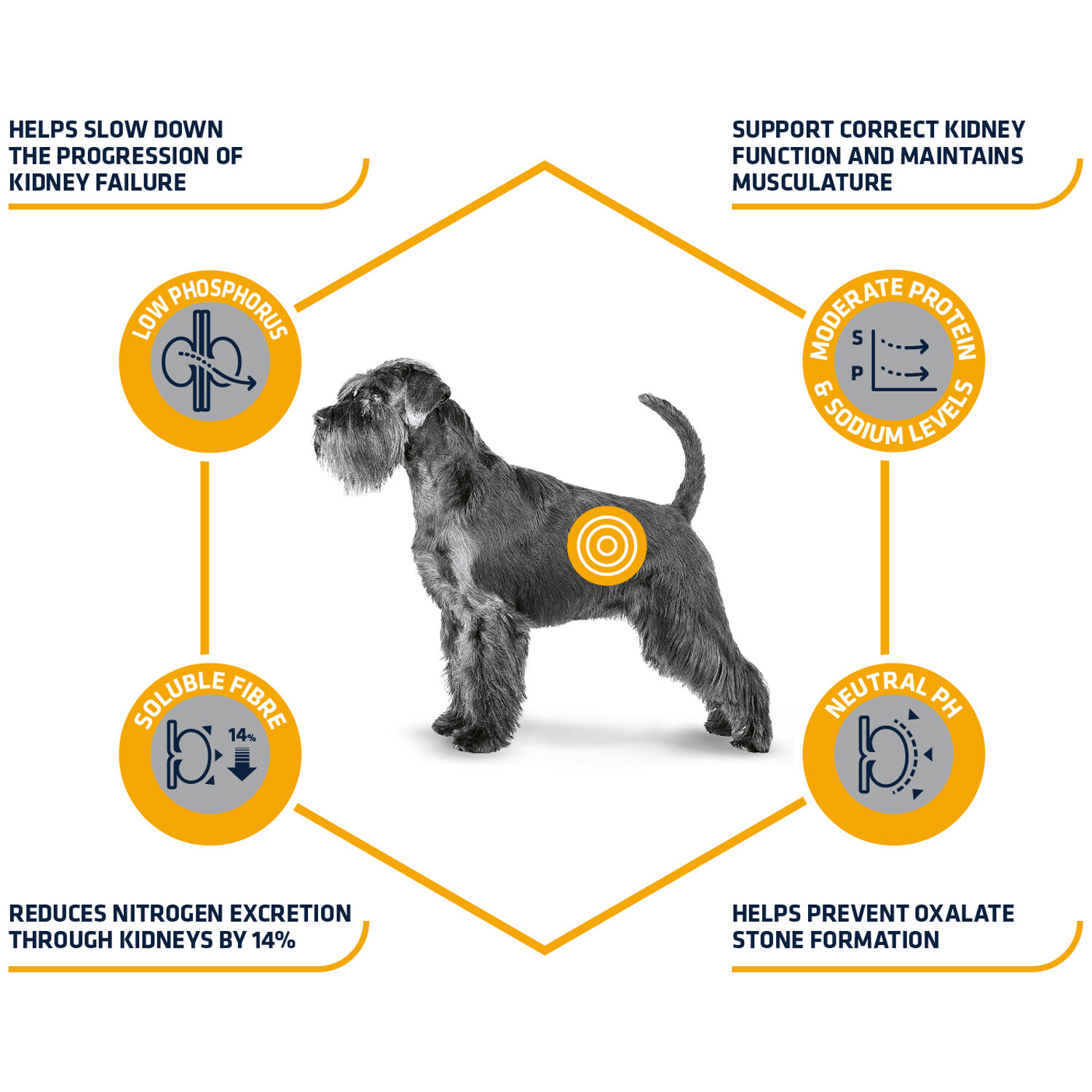 Affinity Advance Veterinary Diets Renal Dog - 3 kg