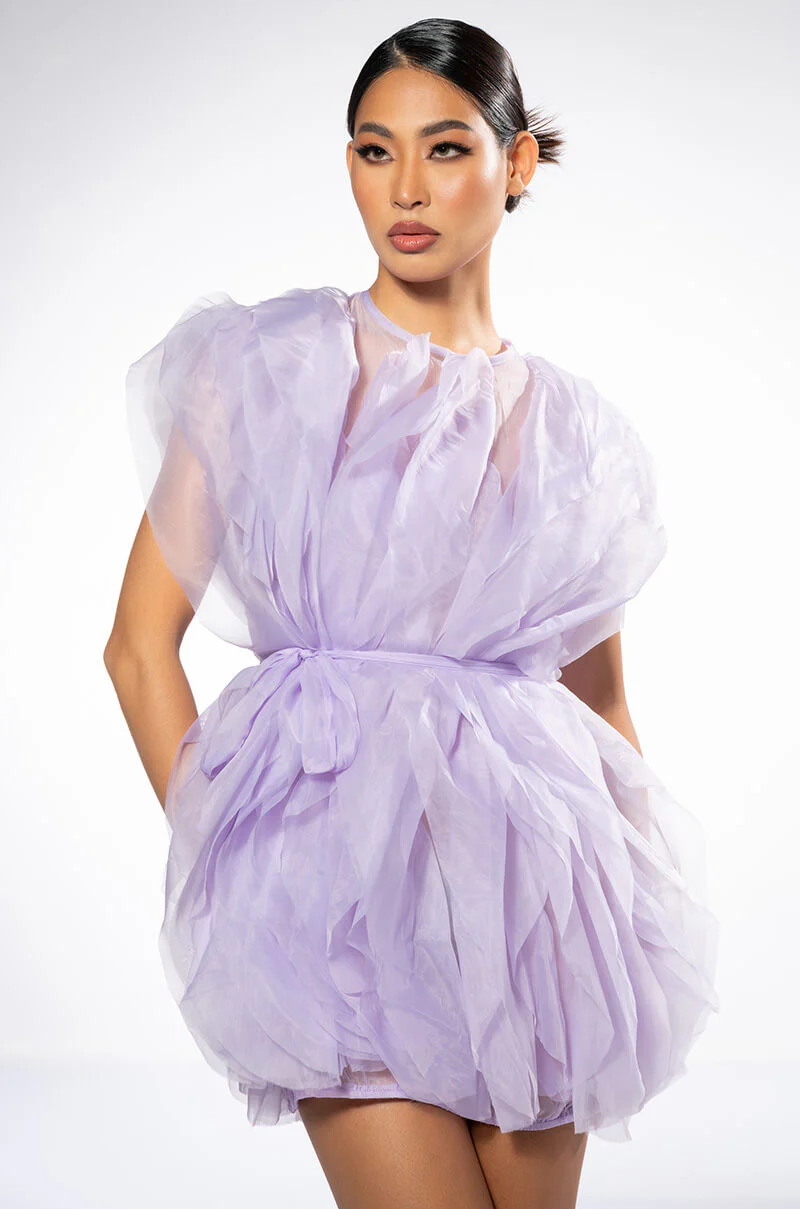 Ava Mini Fashion Dress