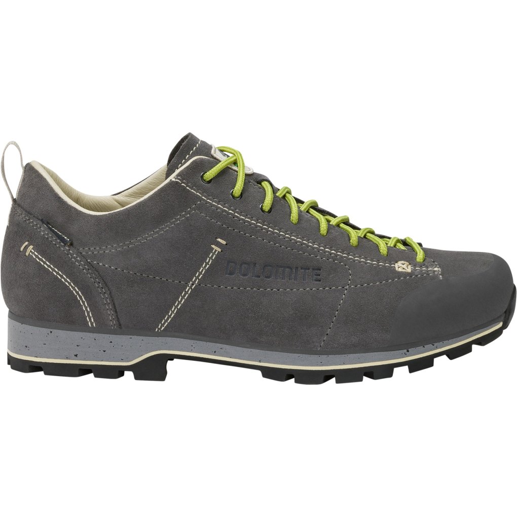 Dolomite 54 Low Evo GORE-TEX Shoes Men - avio grey