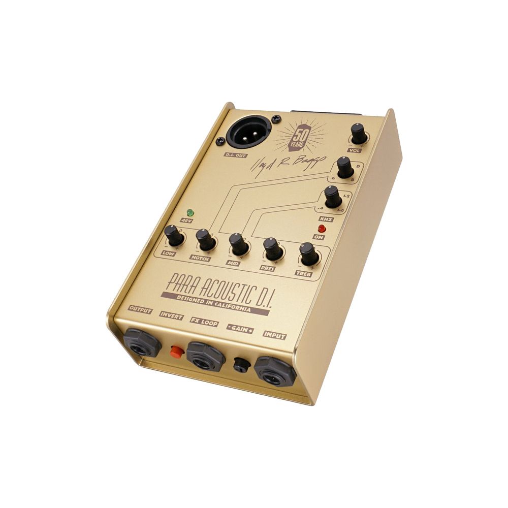 L.R.Baggs Para DI Gold Edition – Thomann Ireland