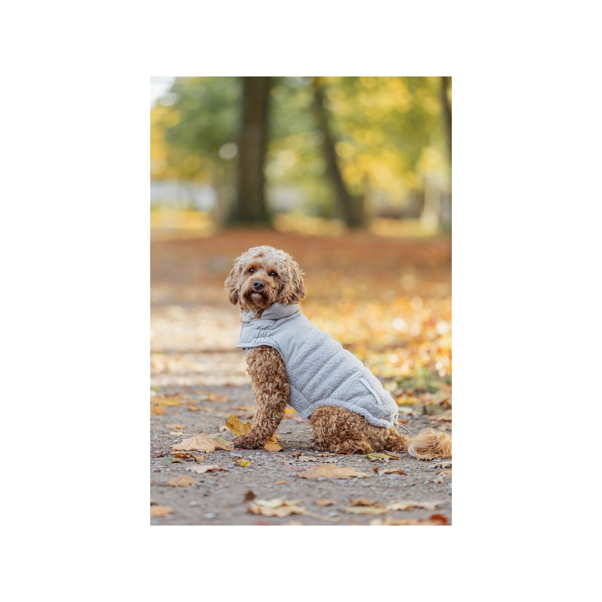 Trixie Winter Coat Ajou - Blue - XXS - 18 cm