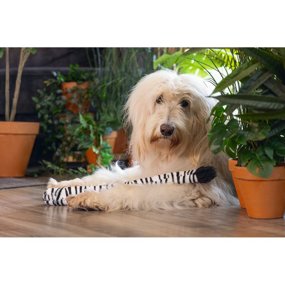 Beeztees Jungle Zebra Tail