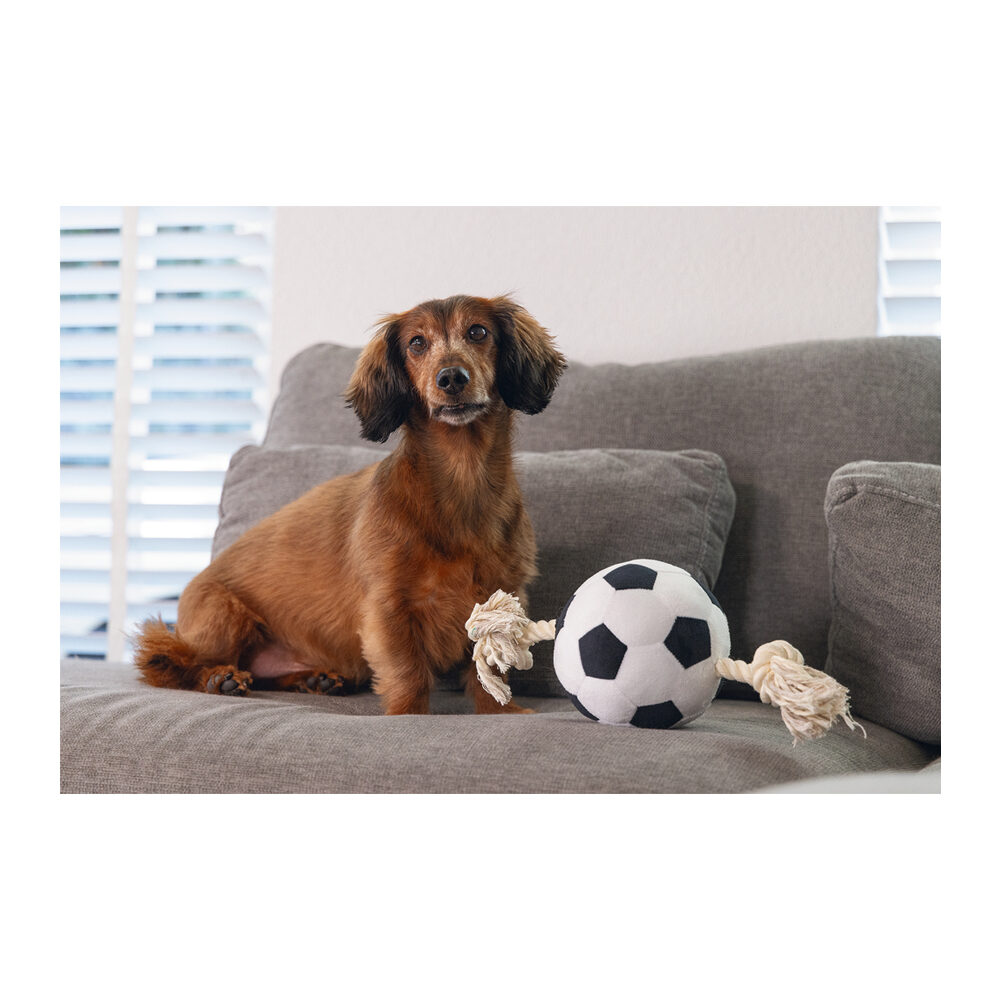 Beeztees Football with Rope - 27 cm