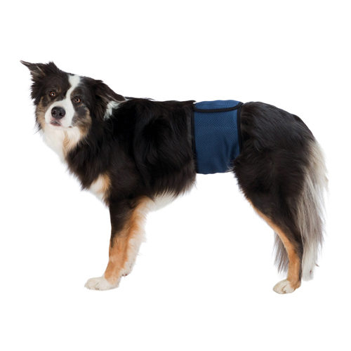 Trixie Belly Band for Male Dogs - S/M