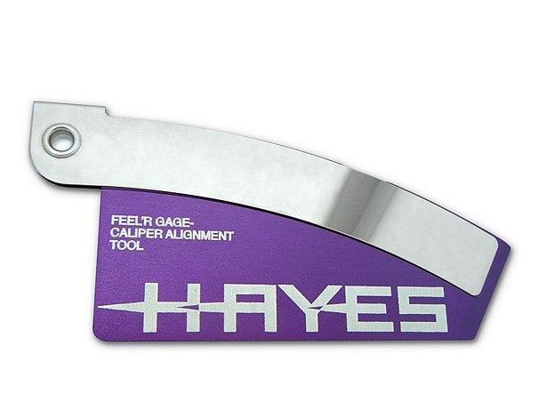 Hayes 