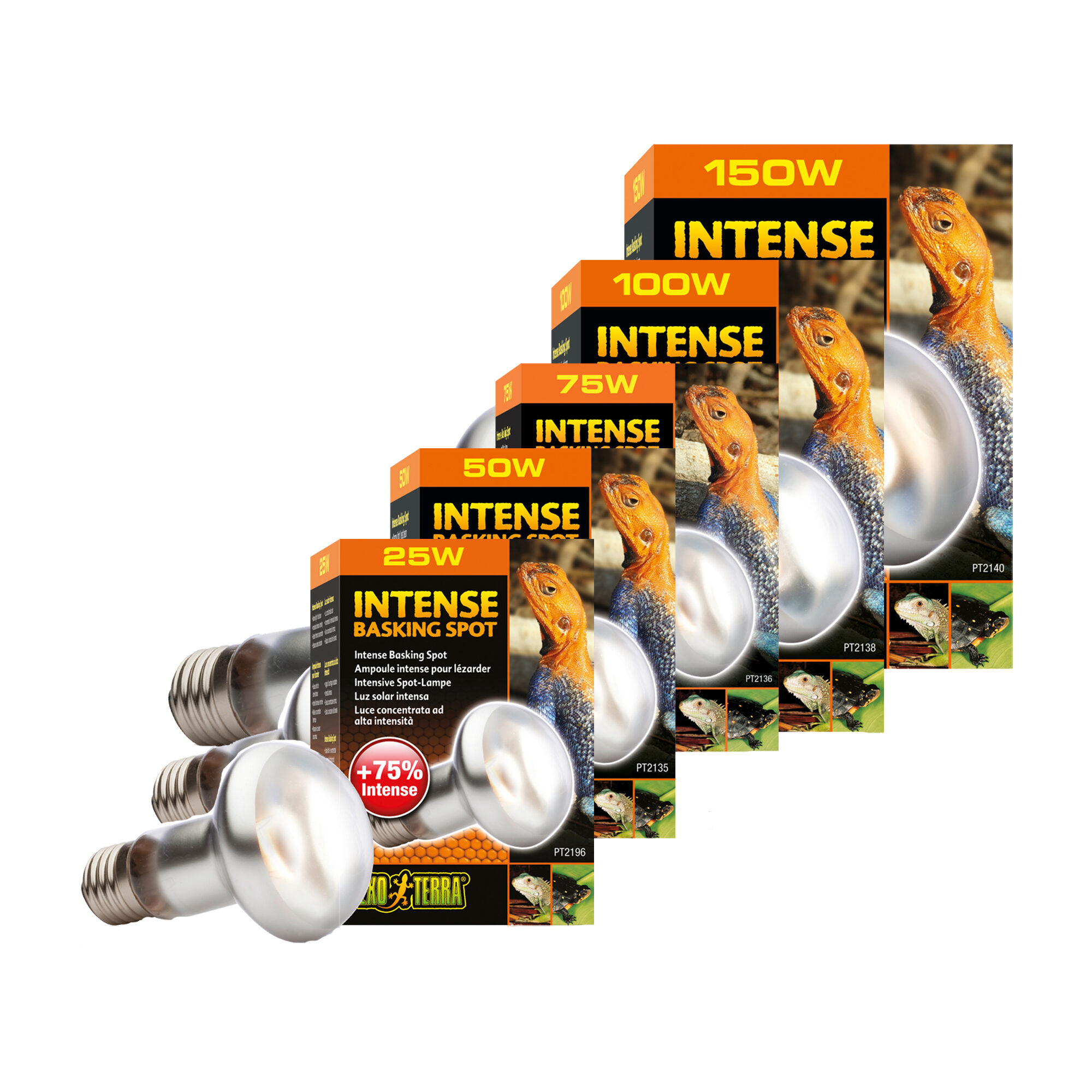 Exo Terra Tightbeam Daylight Heat Spot - r30 150W