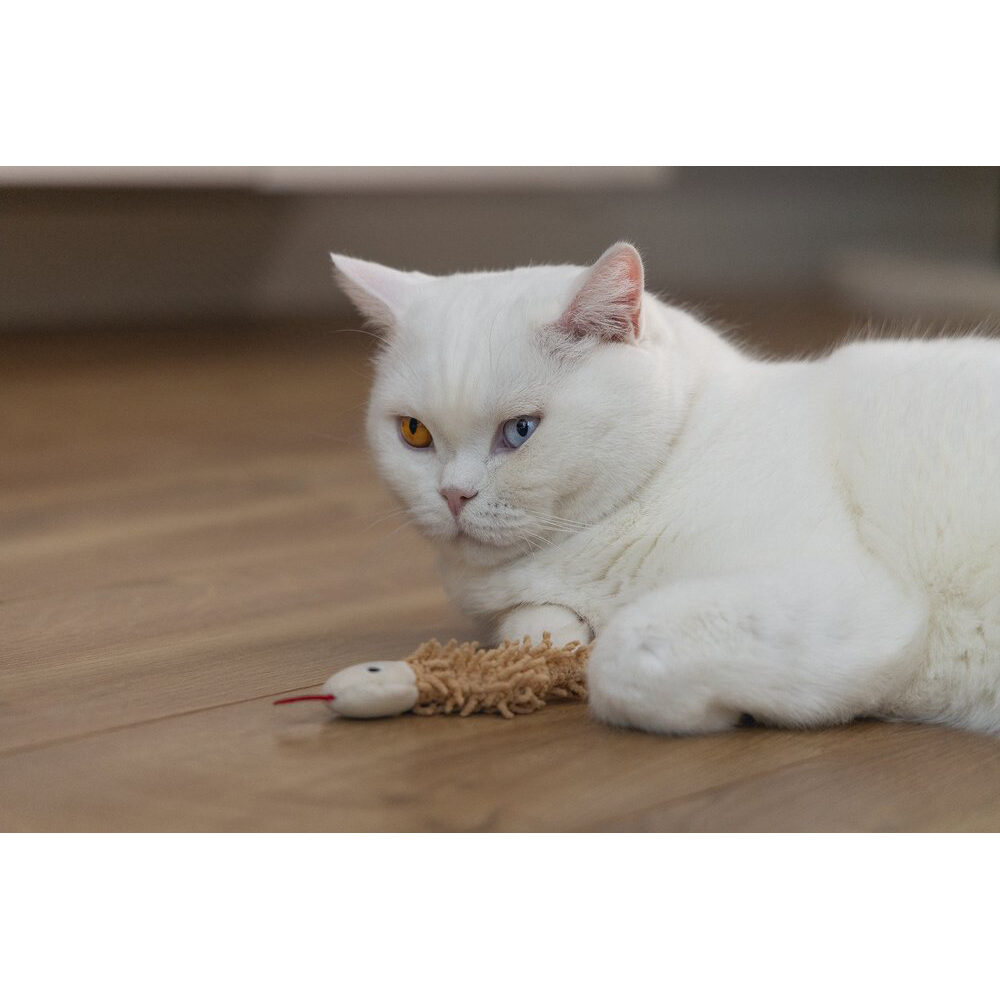 Beeztees Eco Play Boa