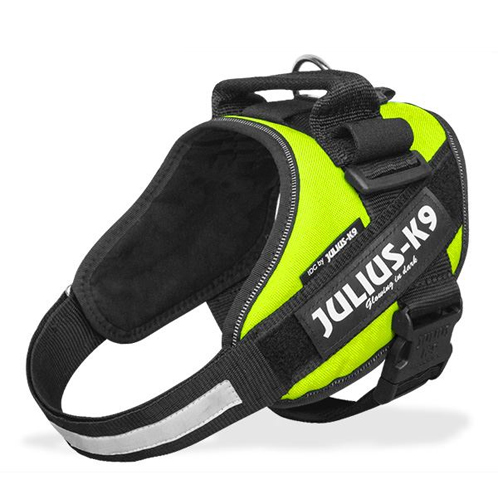 Julius-K9 IDC Power Harness Baby 1 - 3XS - Anthracite