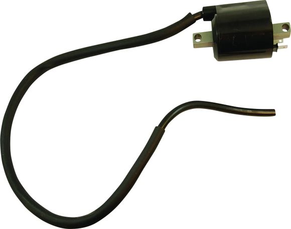 Onedesign ignition coil 21020443Ref: AS00150A / 21020443