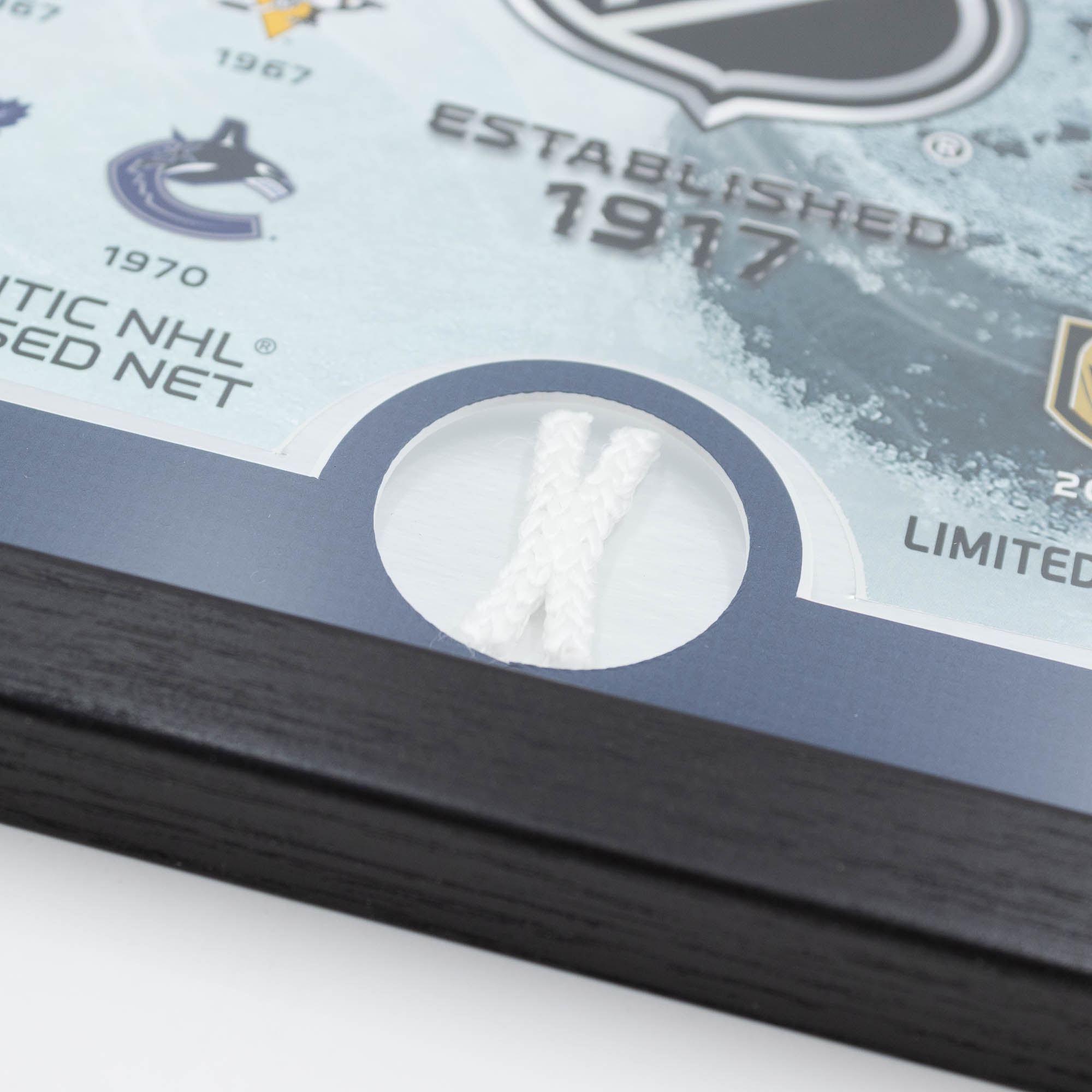 Highland Mint NHL Logos & Game-Used Net Hockey Frame