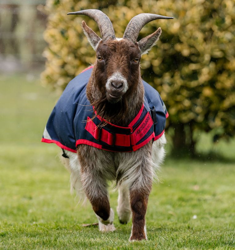 Horseware® Goat Coat 0g