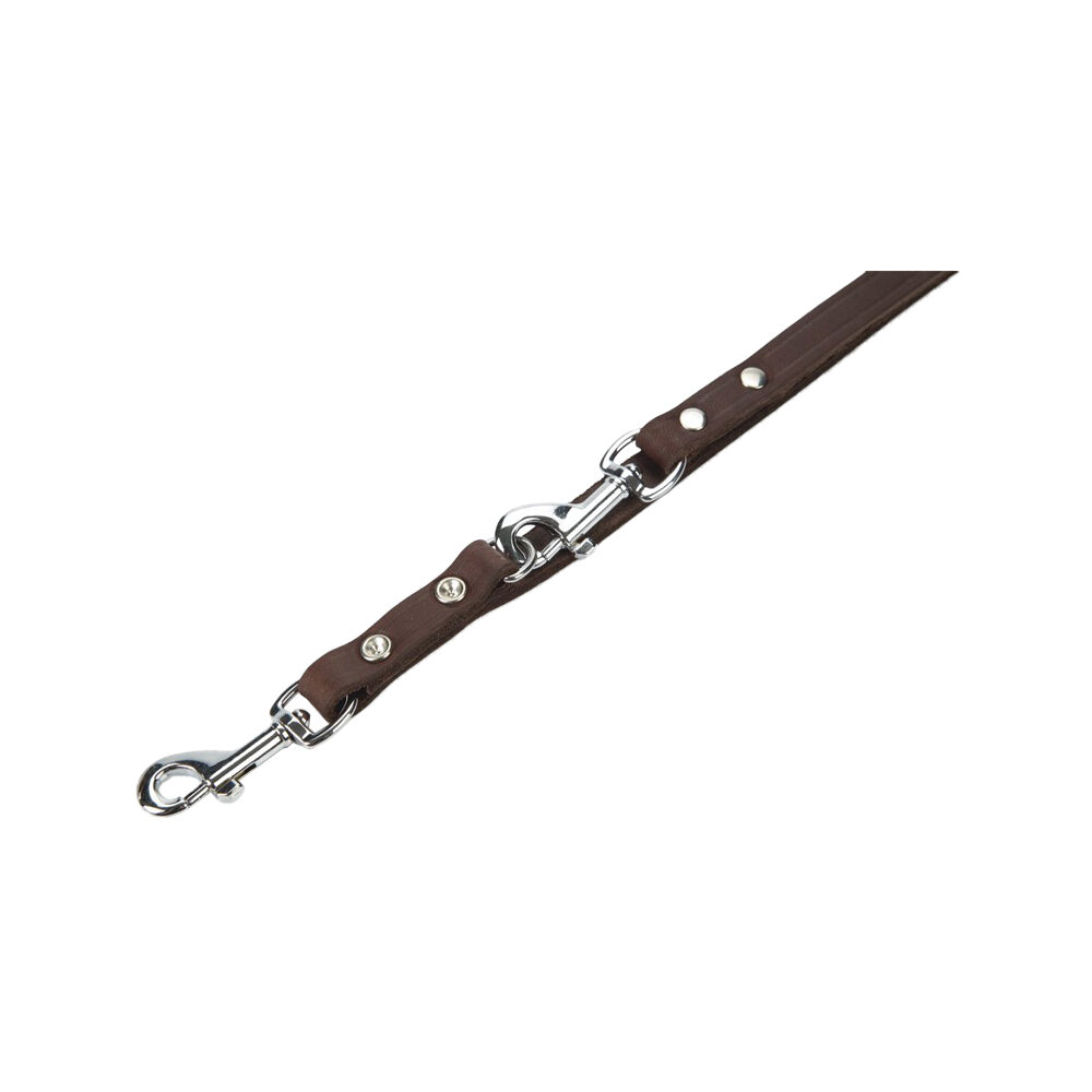 Beeztees Dog Leash Leather - Brown - 200 x 18cm