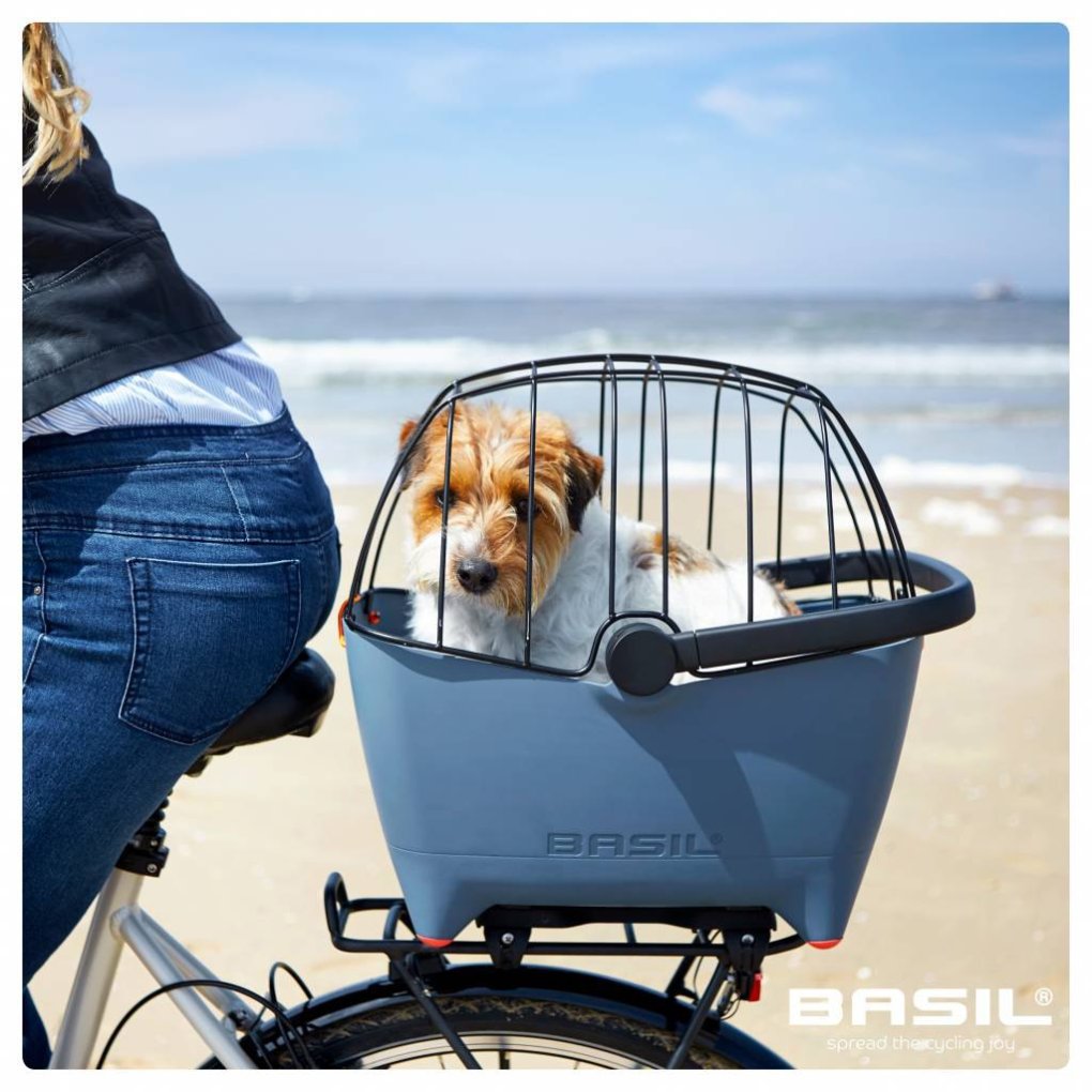 Basil Buddy Space Frame - black