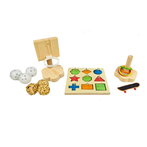 Petlala Parrot Agility Training Set