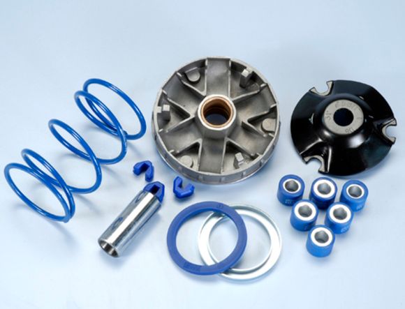 Polini Variator Ref: Pol00432A / 1011885