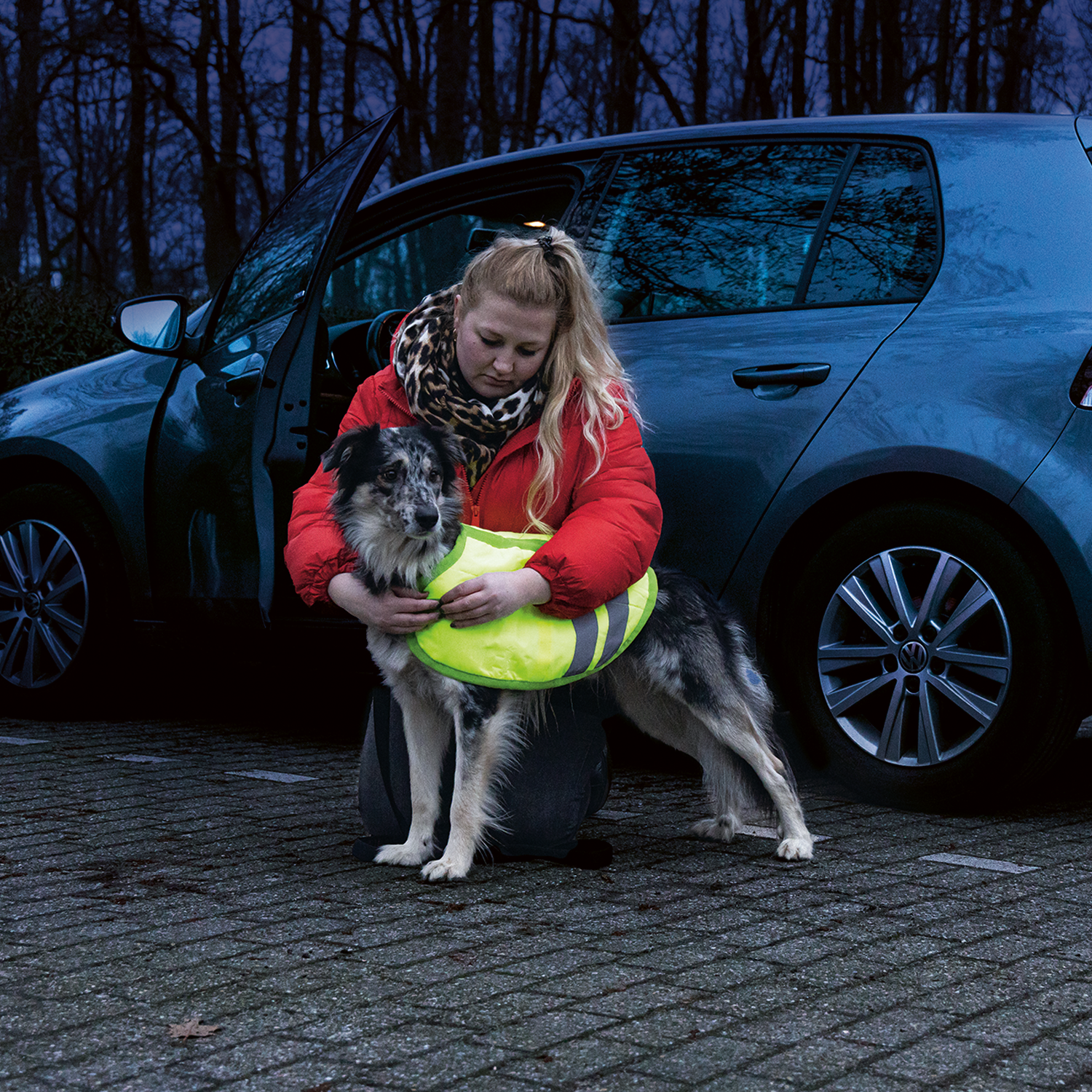 Beeztees Teddie Dog Coat Reflection - 30 cm