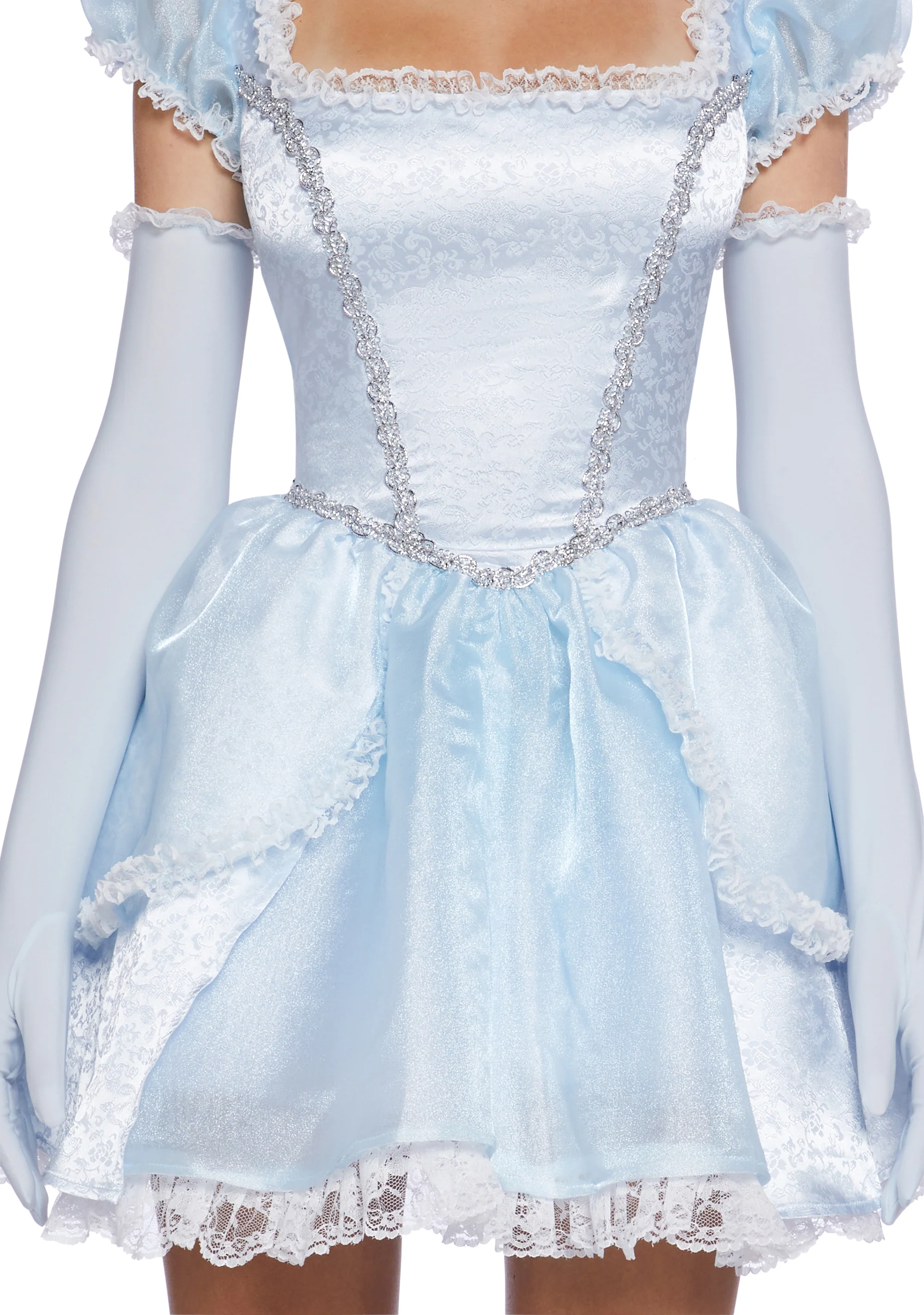 Glass Slipper Dreams Costume
