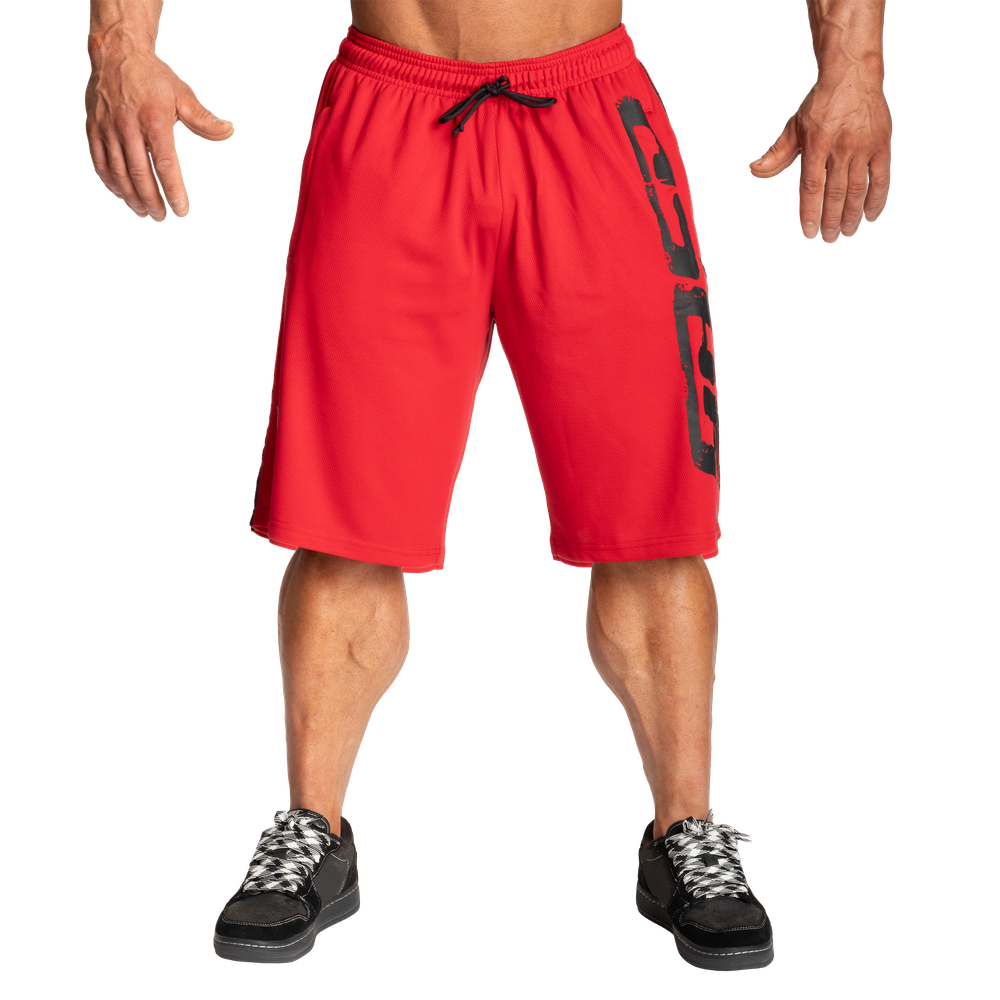 Pro mesh shorts