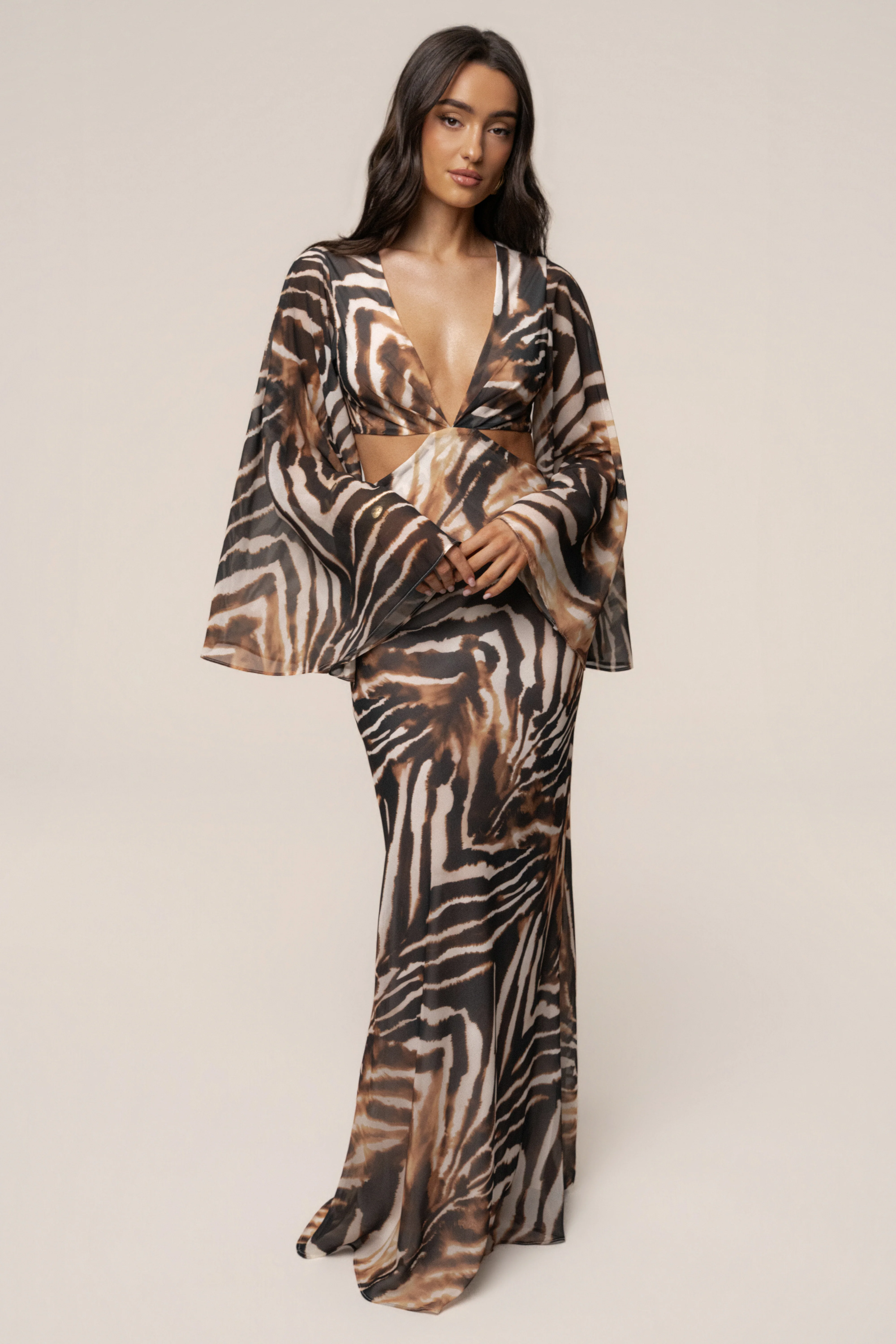Brown Zebra Instincts Print Maxi Dress