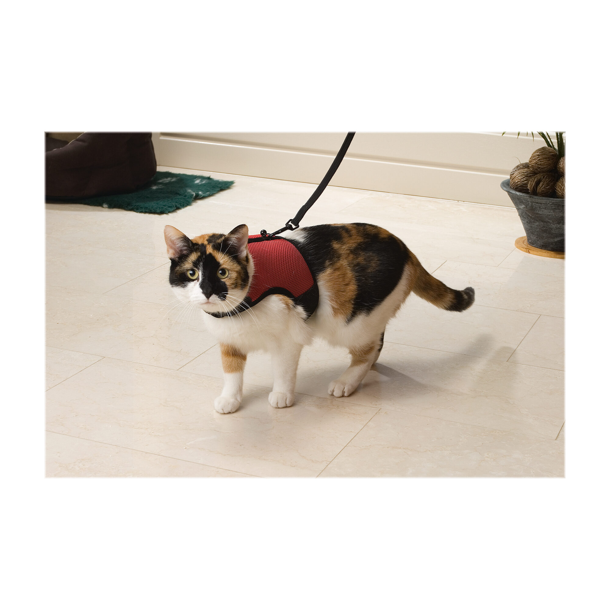 Beeztees Cat Harness - Red