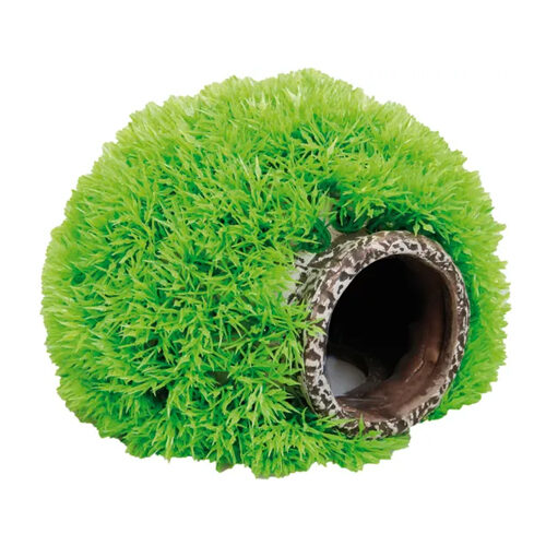 Flamingo Moss Ball Cave
