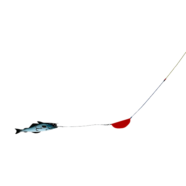 Eisele Kutscher System incl. lead 250g