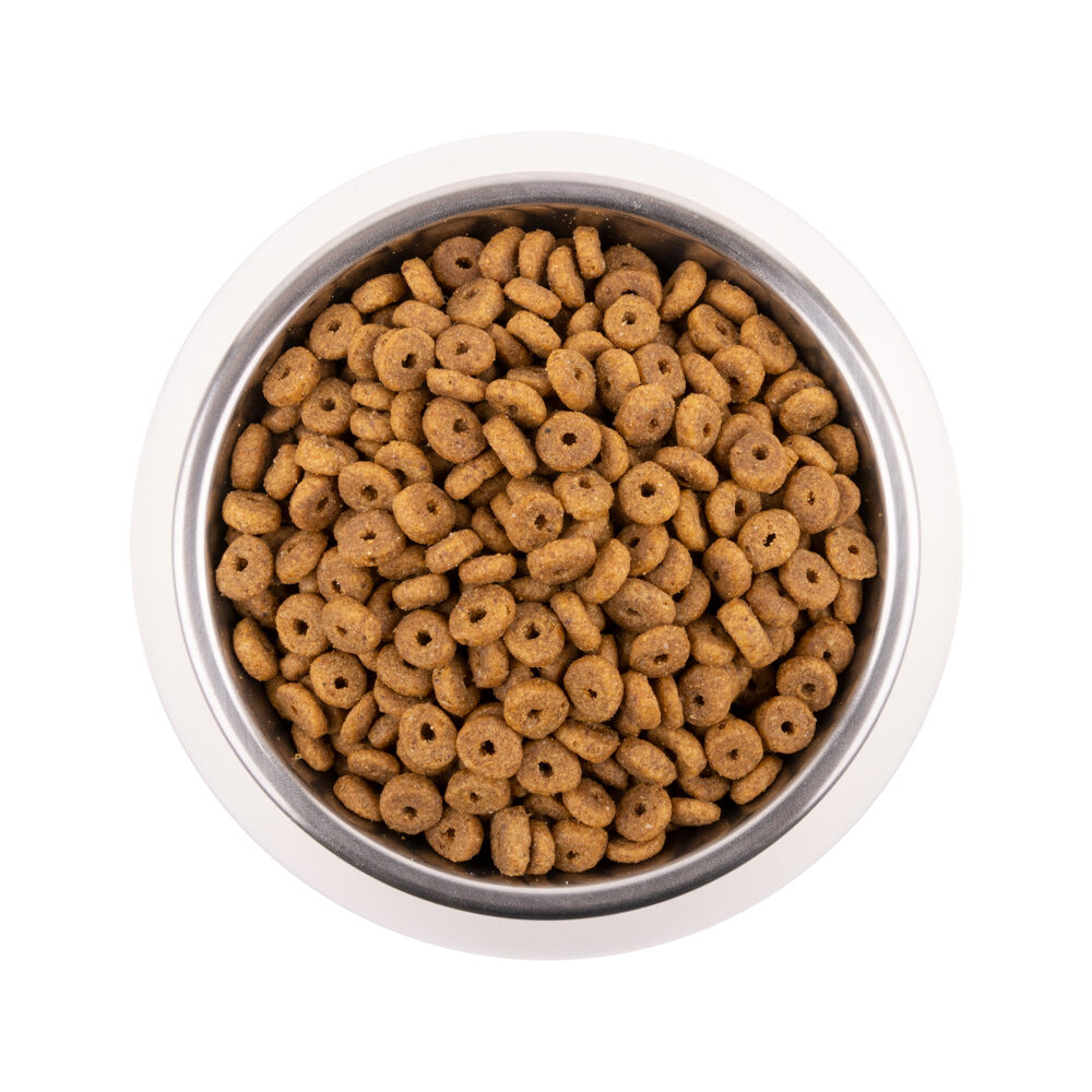 Vetality Adult Cat - 2 kg