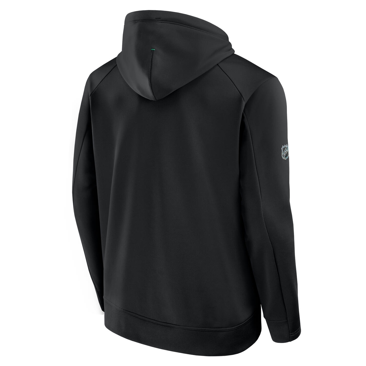 Dallas Stars 2025/26 Authentic Pro Rink Tech NHL Hoodie Black
