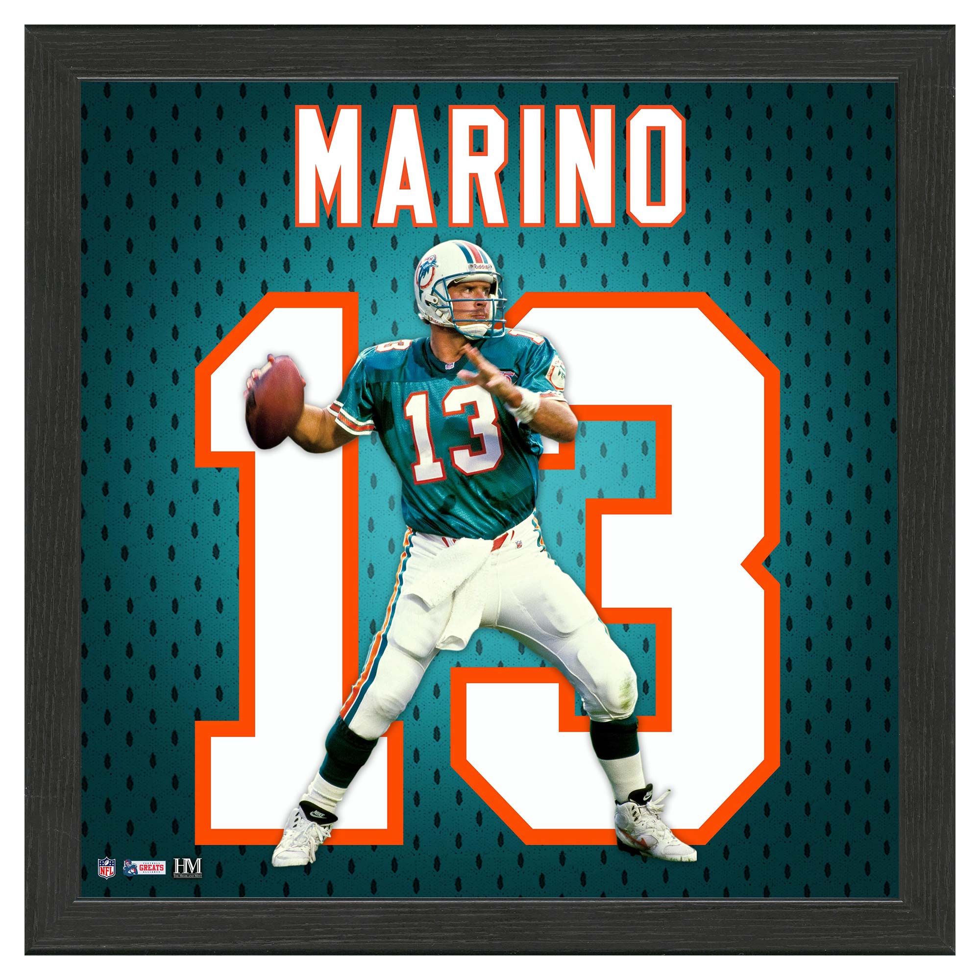 Dan Marino #13 Miami Dolphins Impact Jersey Framed NFL Photo