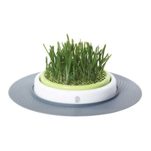 Catit Senses Grass Garden Refill - 2 Packs of 70g