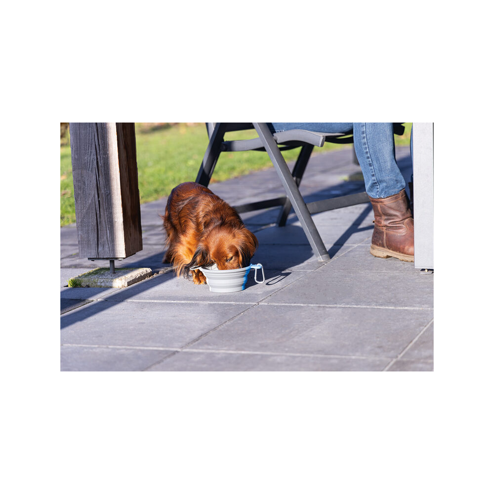 Beeztees Travel Bowl Rua - Blue