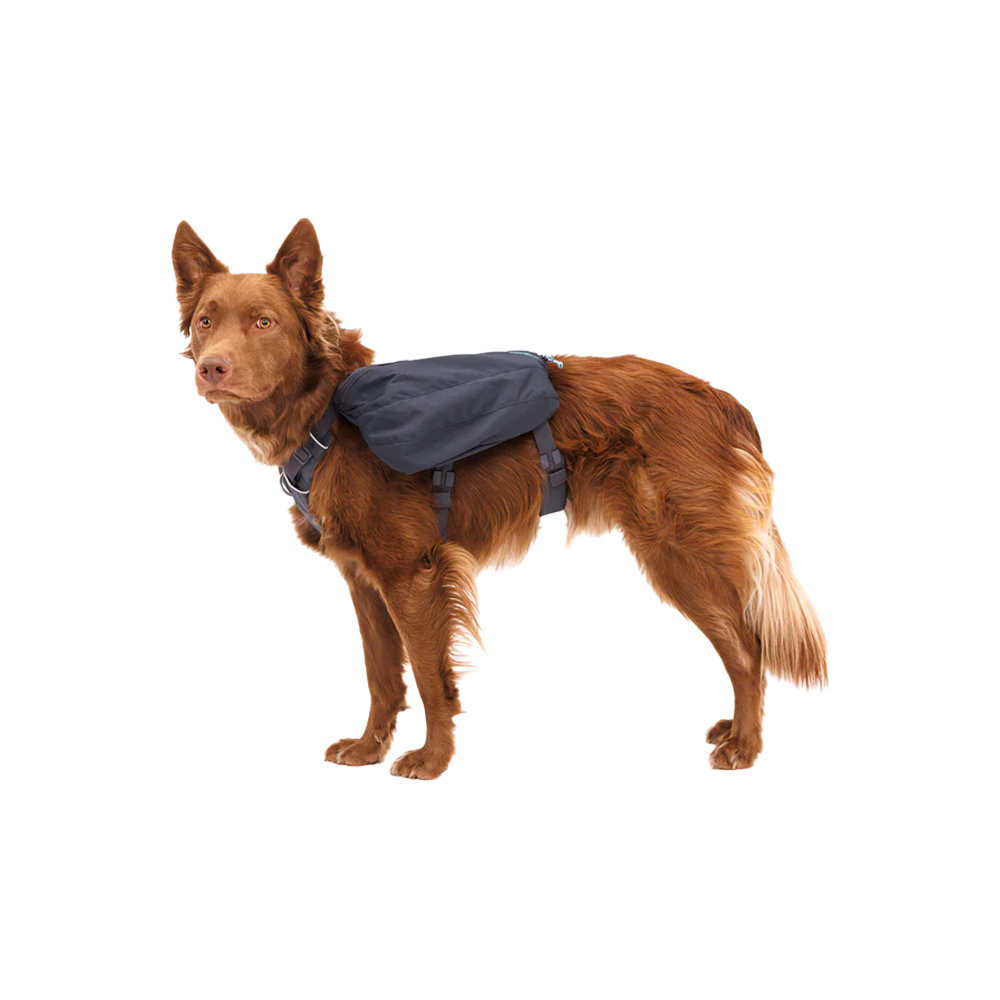 Ruffwear Front Range Day Pack - Basalt Gray - XS