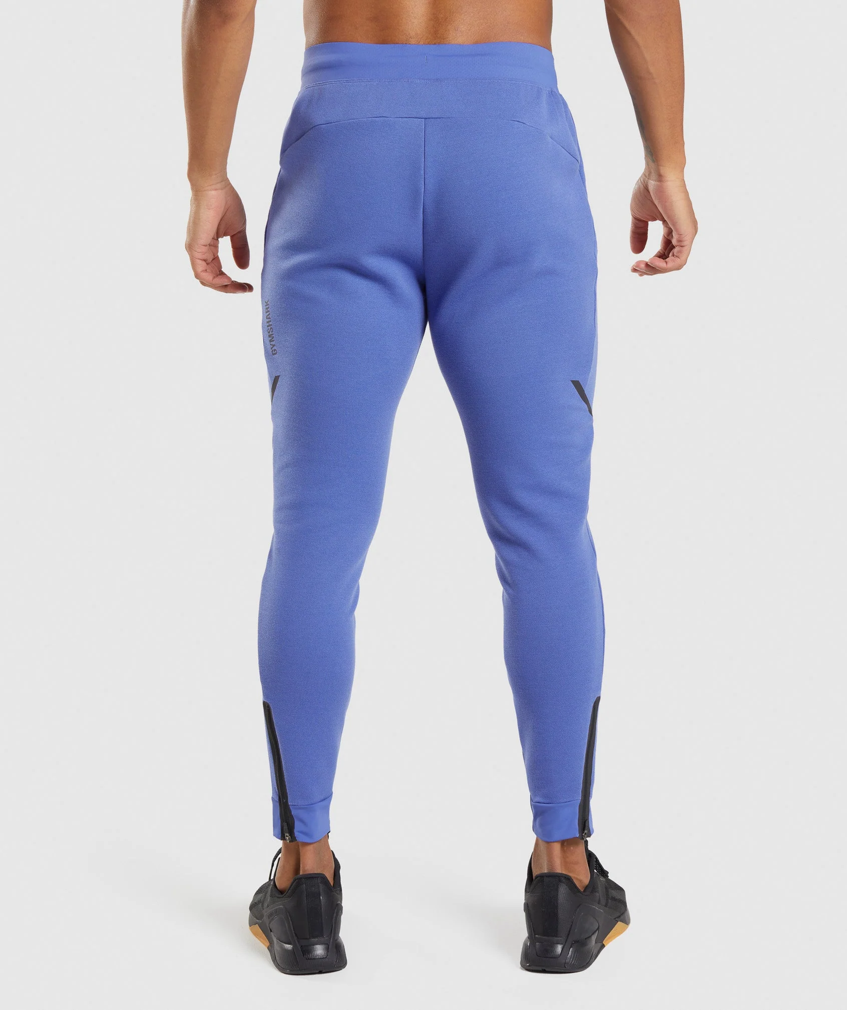 Apex Technical Joggers Court Blue
