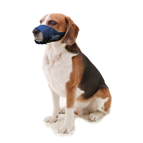 Pawise Nylon Muzzle  - M