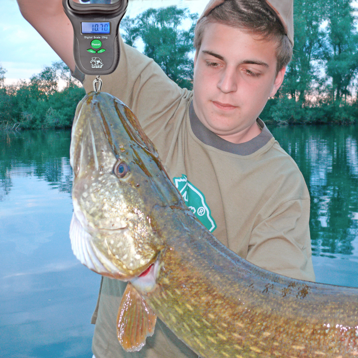 Behr Digital Scales (25kg)