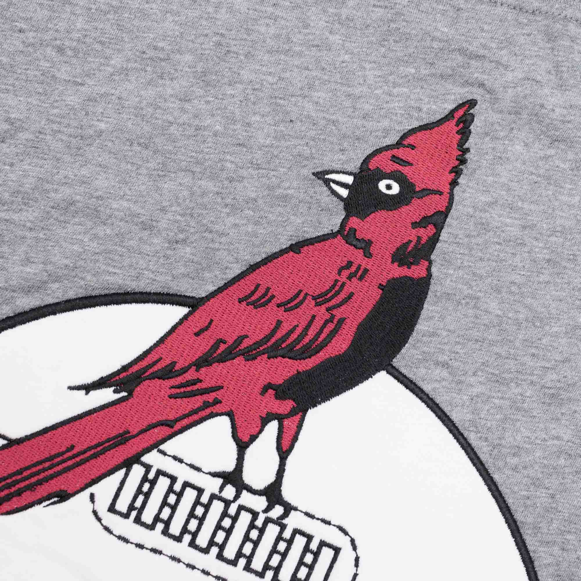 Arizona Cardinals Mitchell & Ness Color Blocked NFL Throwback T-Shirt