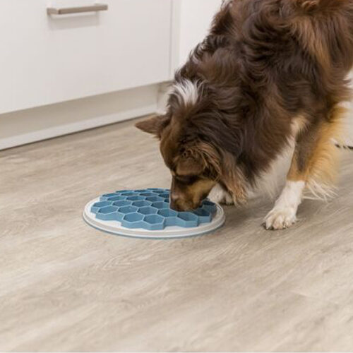 Trixie Slow Feeding Food Plate Hive - 30 cmr