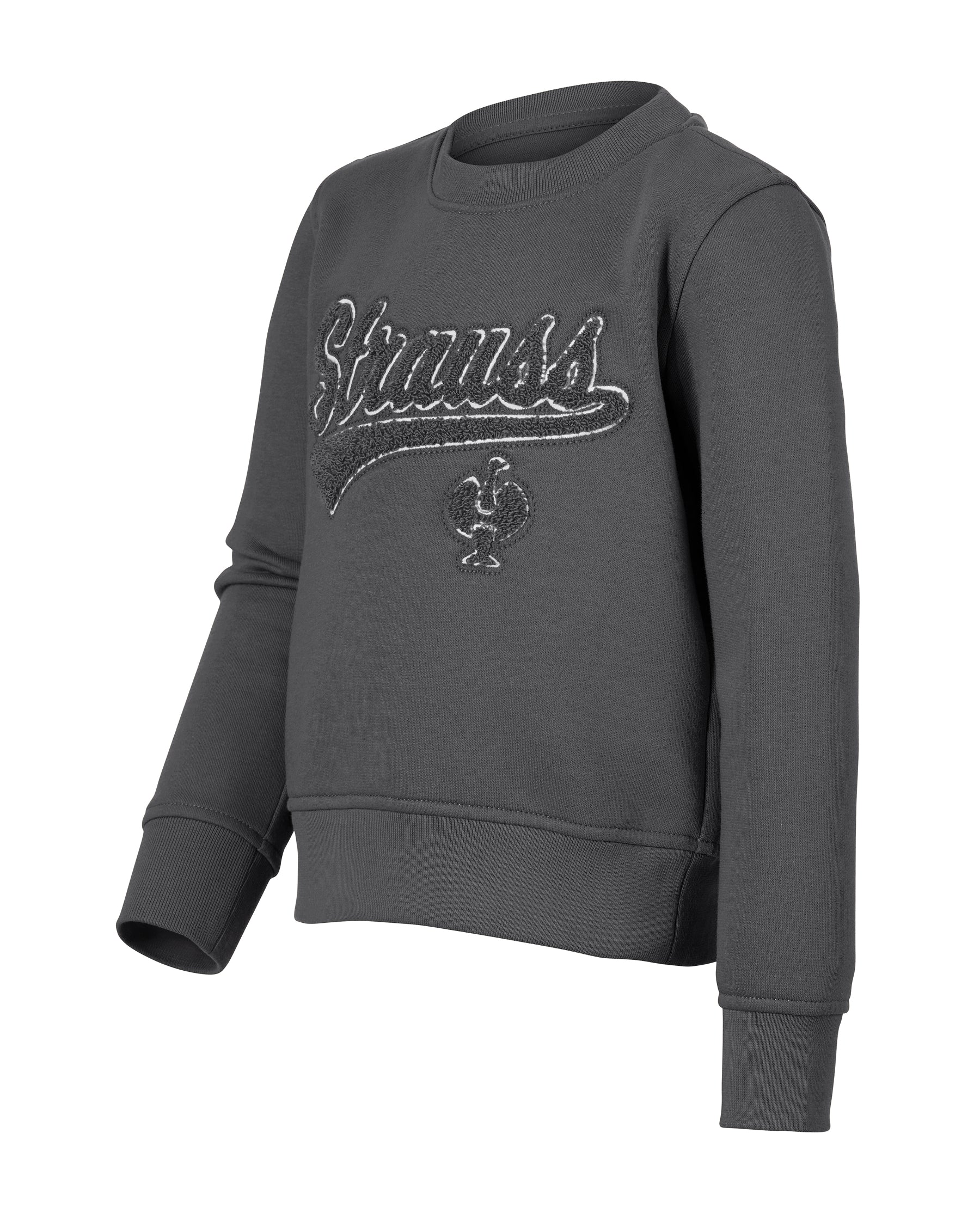 Kids Artwork Crew Neck Sweatshirt e.s.e:pic