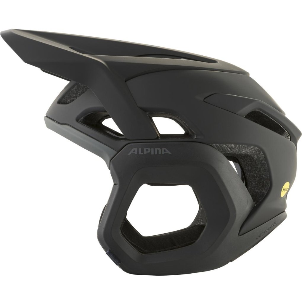 Alpina Root MIPS Helmet - black matt