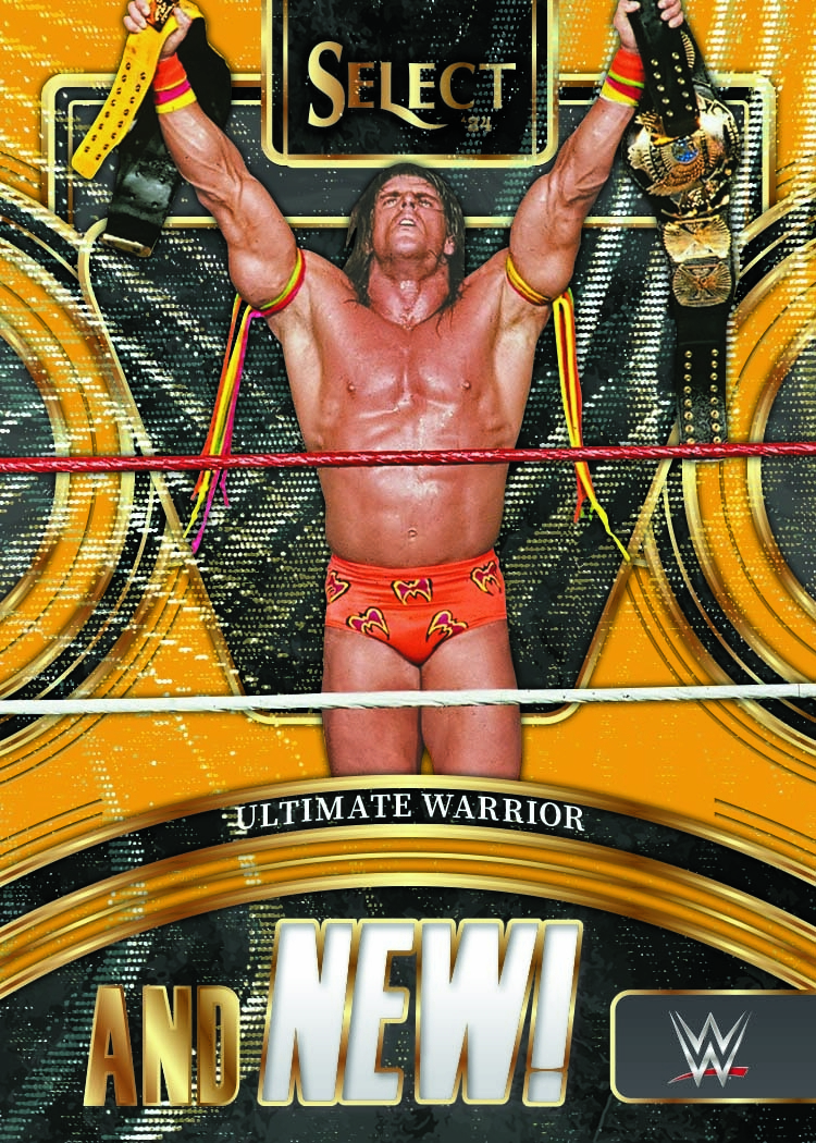 2024 Panini Select WWE Wrestling International Hobby Box