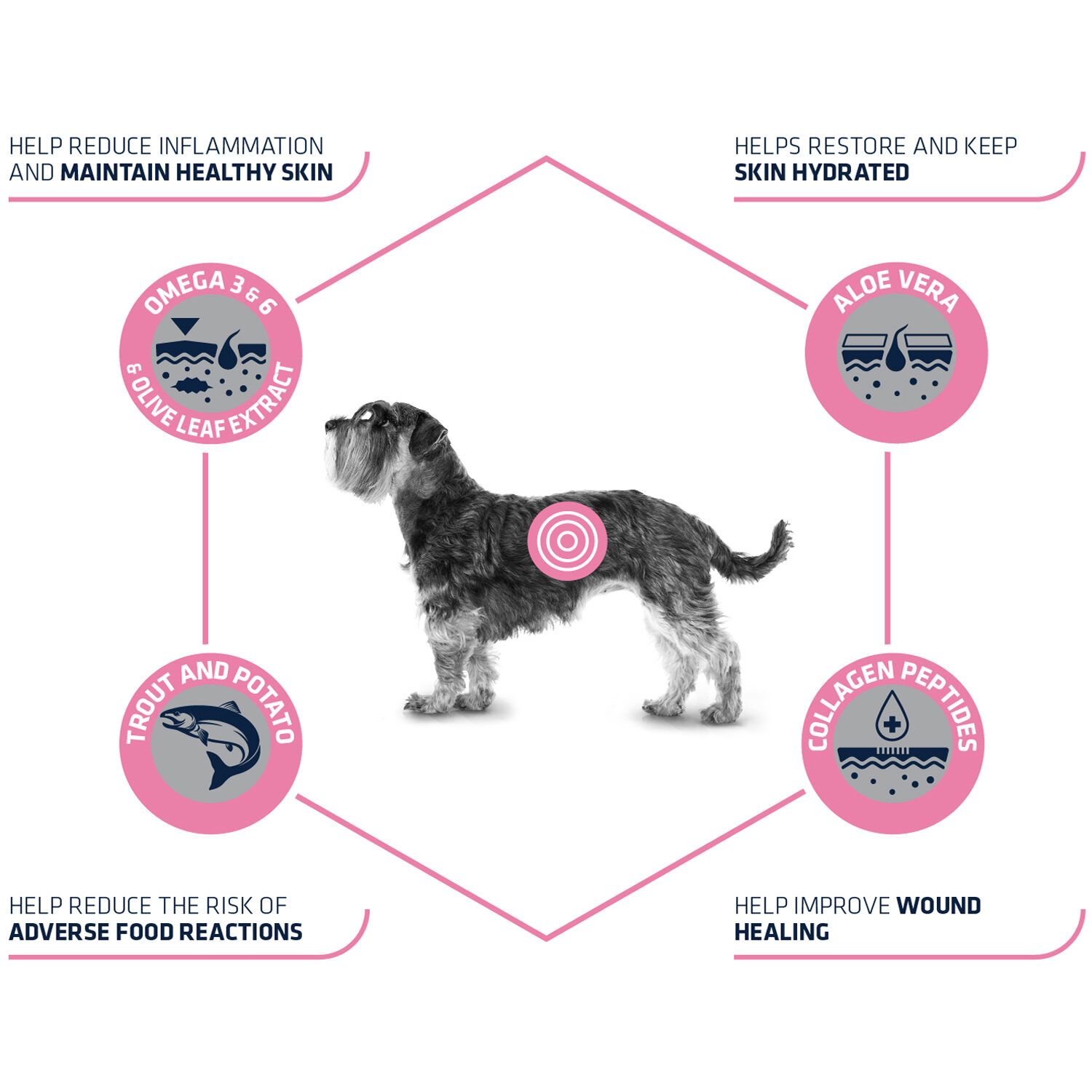 Affinity Advance Veterinary Diets Atopic Mini Dog - 1.5 kg