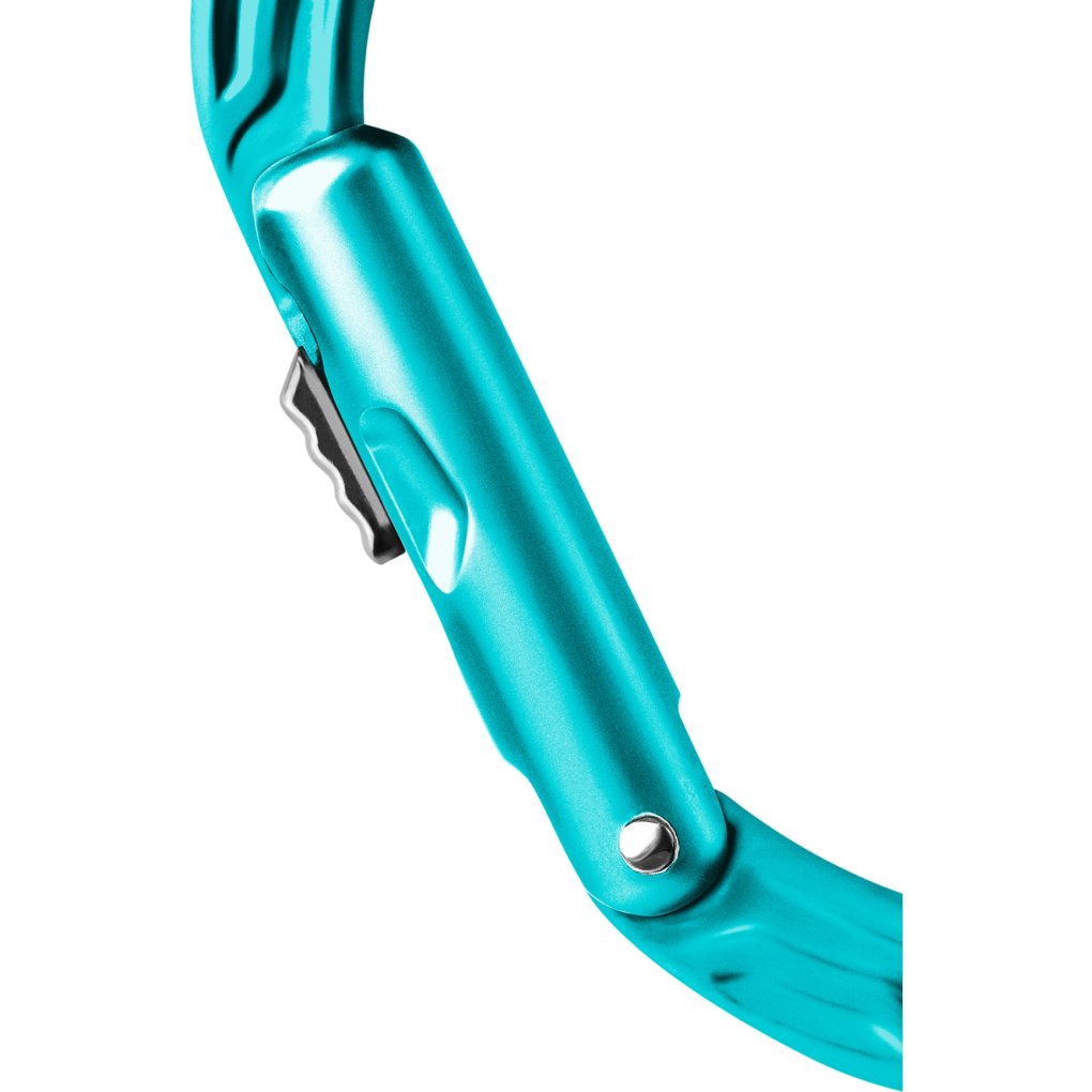 Edelrid Kiwi Slider Carabiner - icemint