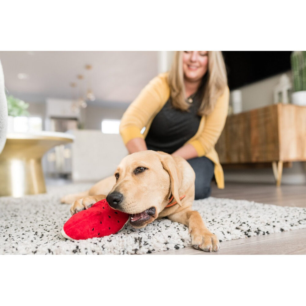 P.L.A.Y. Tropical Paradise - Wagging Watermelon