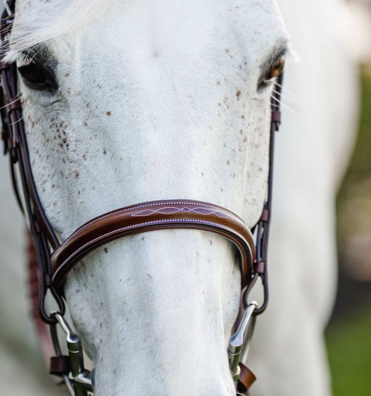Horseware® Pony Hunter Cavesson Bridle with Reins