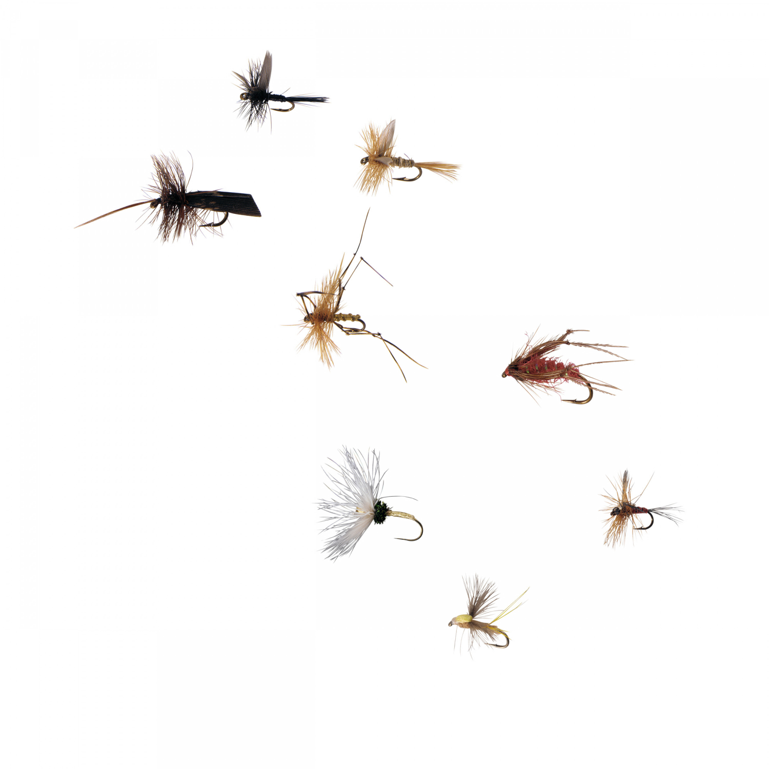Kogha Dry Fly Assortment