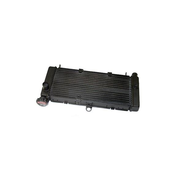 Radiateur Brazoline A EAU ADAPTABLERef : RA0061