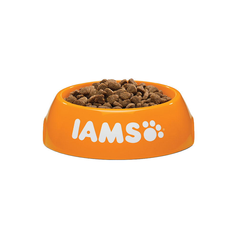 IAMS Adult Cat Chicken - 10kg